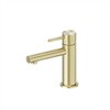 Dolce II Basin Mixer Brushed Gold